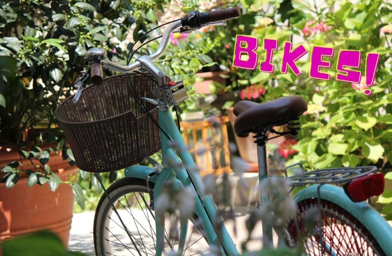 Il Cortile Di Elisa & Our Flats Bed & Breakfast Lucca Exterior photo